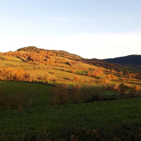 Chambres D'Hotes Le Moulin D'Auxillac 拉卡努尔格 外观 照片